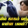 What is the benefit of seeing a crow in a dream?