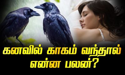 What is the benefit of seeing a crow in a dream?