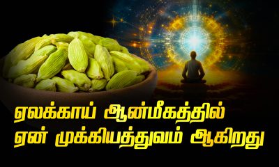 Why is cardamom so important in spirituality?