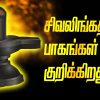 What do the parts of Shivalinga represent?