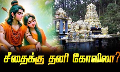 A separate temple for Sita