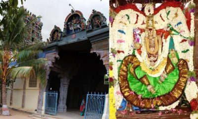 Goddess Sivasaila Paramakalyani is the divinity