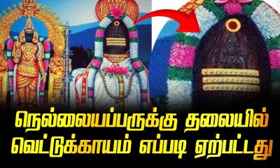 How Nellaiyapar got a cut on his head