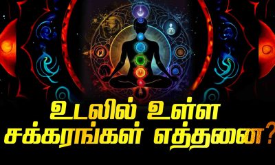 How many chakras are there in the body