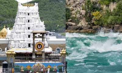Important Announcement of Tirupati Devasthanam: Attention Devotees!