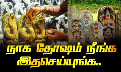 Naga Dosha What should you do