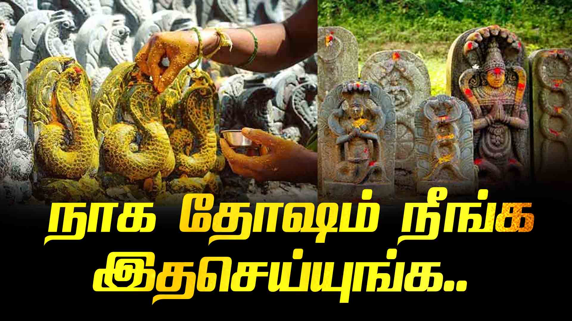 Naga Dosha What should you do