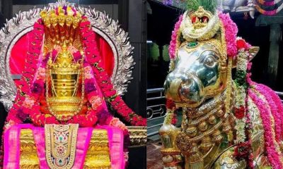 Nandi worship on Shani Maha Pradosha
