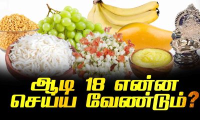 What Audi 18 should do