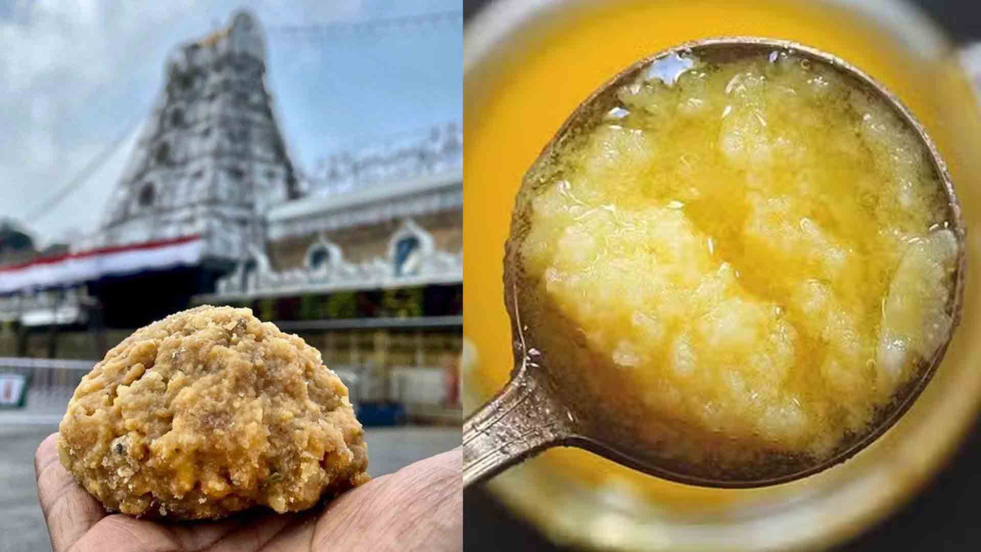 Will the Tirupati administration answer the public's questions on the issue of Tirupati Lattu adulterated ghee