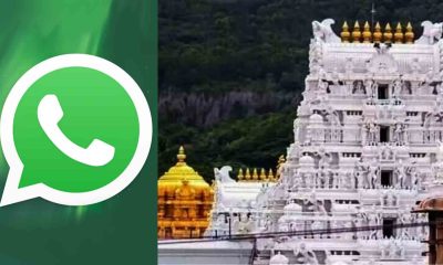 Ticket on WhatsApp to go to satisfaction