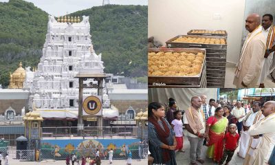 Tirupati Karthikai Month Activity