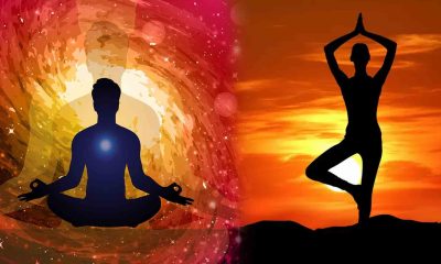 What is the connection between yogic life and spiritual growth