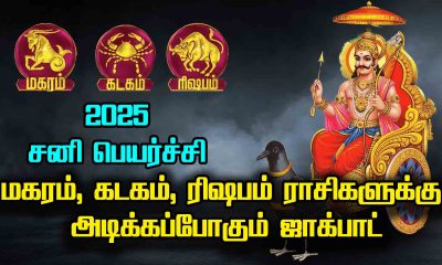 2025 Saturn Transit: Jackpot to hit Capricorn, Cancer, Taurus