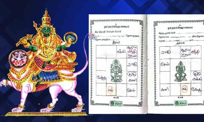 Benefits of Rahu in each house