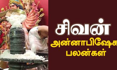 By doing Annabhishekam, you will get the benefit of visiting crores of lingams