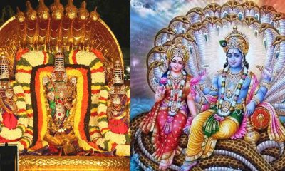 Sri Malayappa Swamy in Adisesha Vahanam