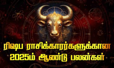 2025 Horoscope for Taurus