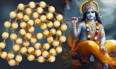 Do you know the greatness of Tulsi garland?