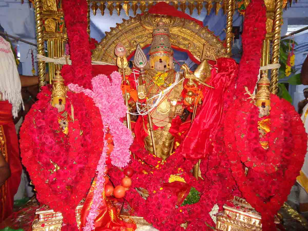 Darshan of the red sathi kolam of Senthur Shanmugar, which brings wealth and prosperity