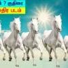 7 குதிரை படம் வீட்டில் வைத்தால் வரும் அதிர்ஷ்டம் என்னவென்று தெரியுமா
