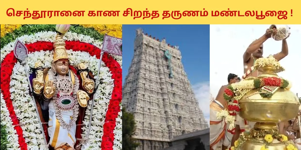 செந்தூரானை காண சிறந்த தருணம் மண்டலபூஜை!